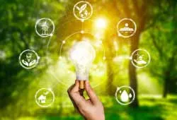 Ecosystem Management